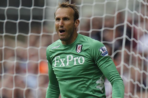Fulham boss Martin Jol has revealed goalkeeper Mark Schwarzer has been offered a contract extension by the club.