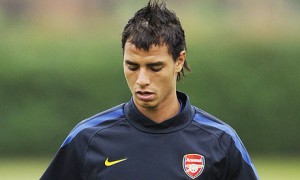 Arsenal flop Marouane Chamakh is a believed transfer target for Premier League newcomers Crystal Palace