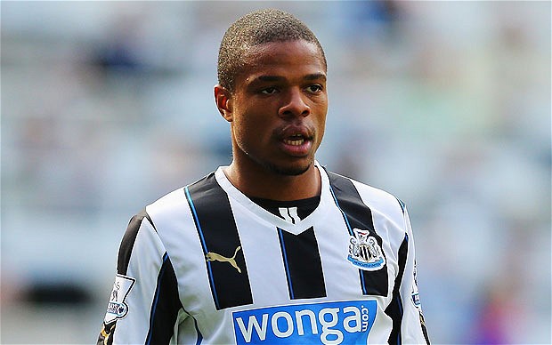 France international forward Loic Remy, currently on loan at Newcastle United, will consider his long-term future next summer.